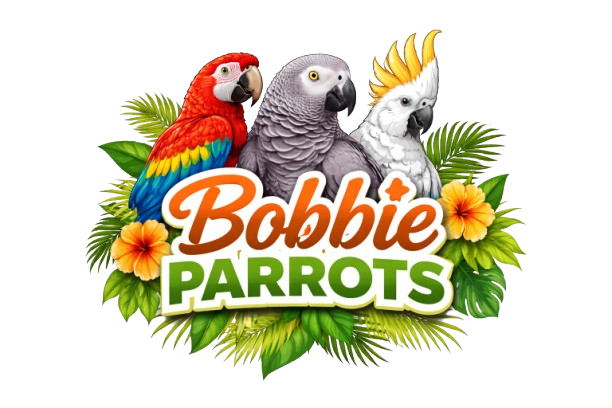 Bobbie Parrots for Sale Logo
